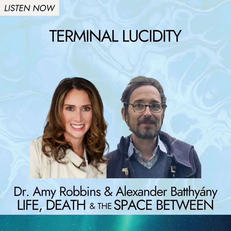 cover art for Terminal Lucidity