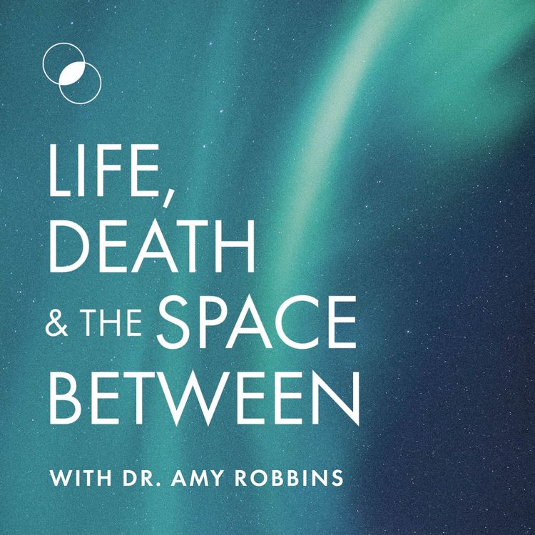 cover art for Spiritually Informed Therapy Webinar