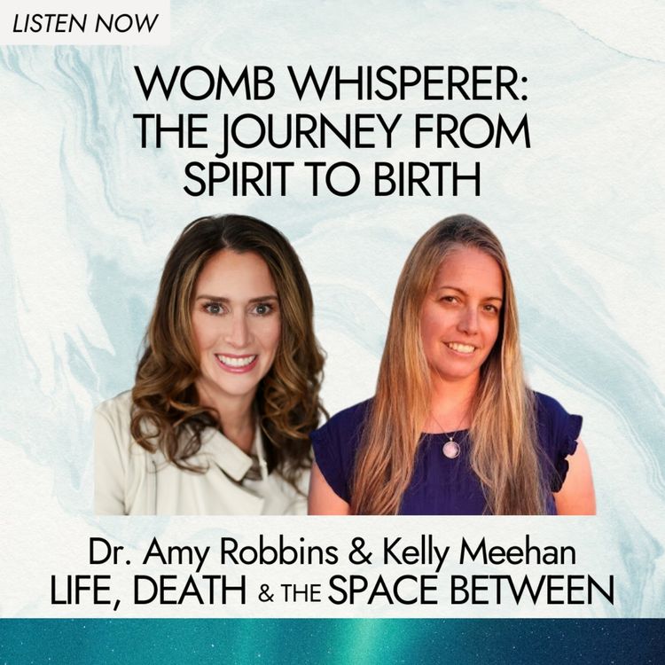 cover art for Womb Whisperer: The journey from Spirit to Birth