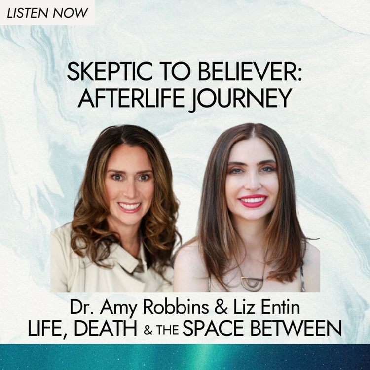 cover art for Skeptic to Believer: Afterlife Journey