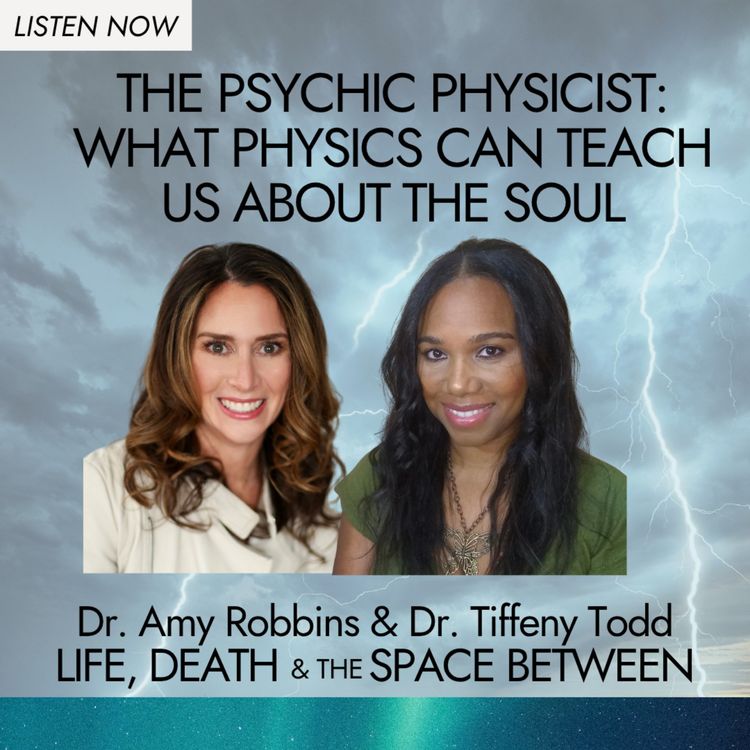 cover art for The Psychic Physicist: What Physics Can Teach Us About the Soul