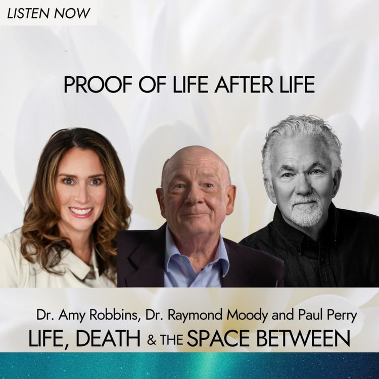 cover art for Proof of Life After Life