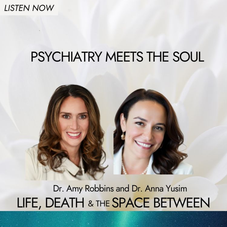 cover art for Psychiatry Meets The Soul