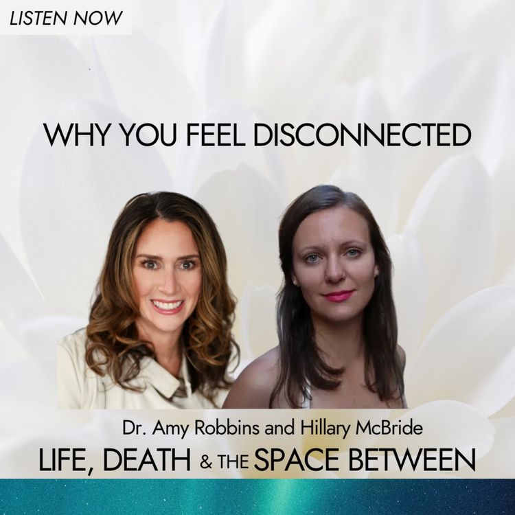 cover art for Why You Feel Disconnected