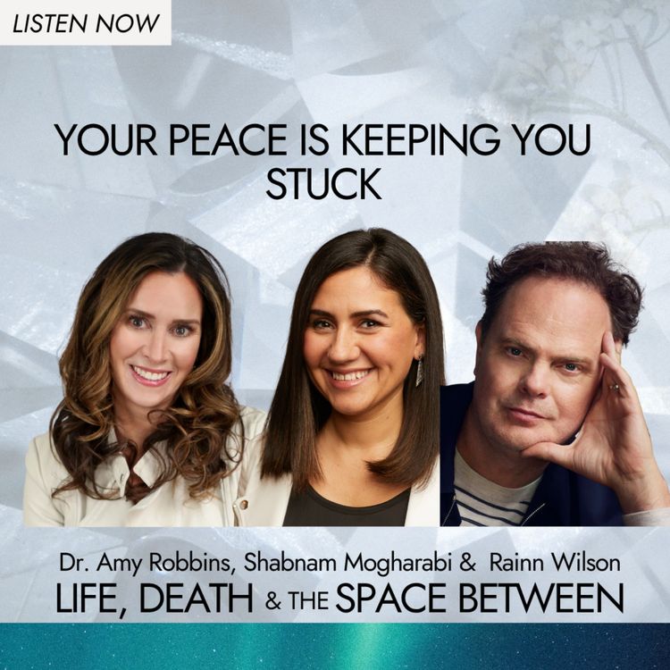 cover art for Your Peace Is Keeping You Stuck | Rainn Wilson and Shabnam Mogharabi