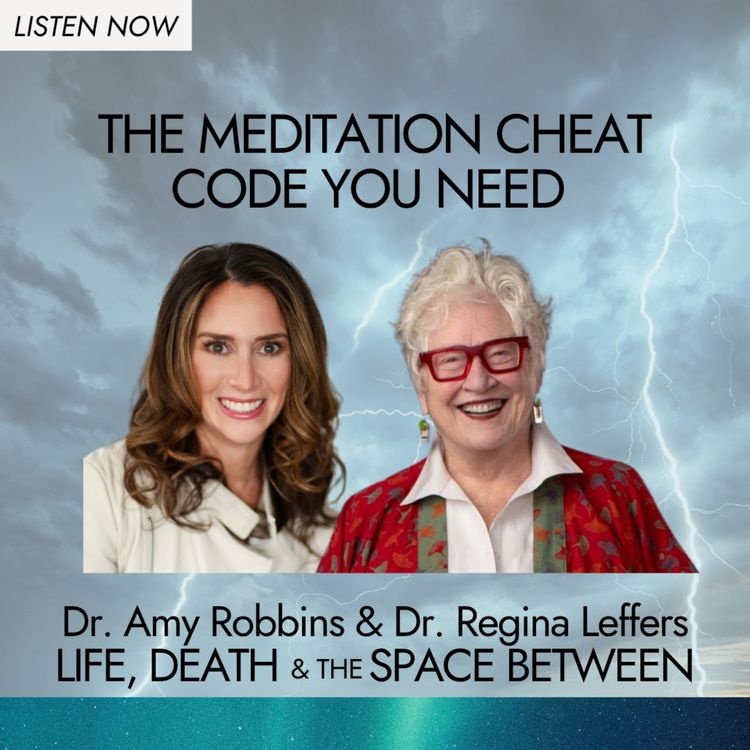 cover art for The Meditation Cheat Code You Need | Dr. Regina Leffers 