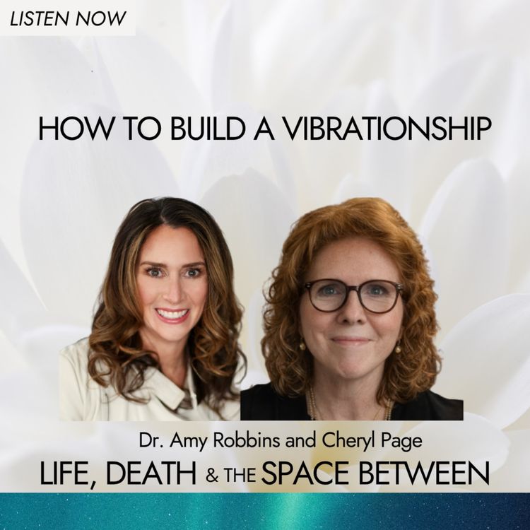 cover art for How to Build a Vibrationship | Cheryl Page