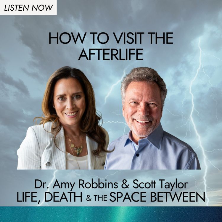 cover art for How to Visit the Afterlife | Scott Taylor