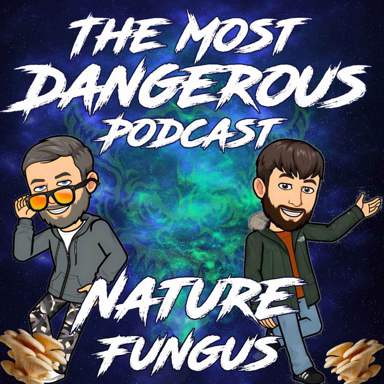 cover art for Nature - Fungus