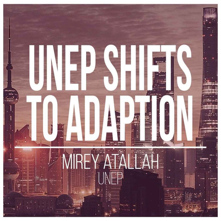 cover art for From Carbon Mitigation to Climate Adaptation: UNEP's Big Climate Shift