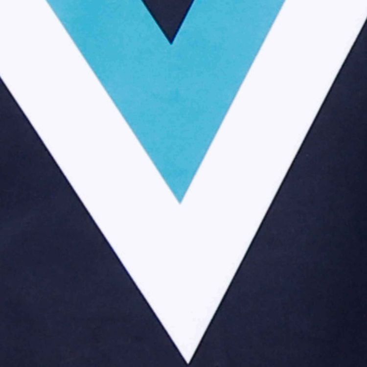 cover art for Port Adelaide - Dunny's AFL Fantasy Picks