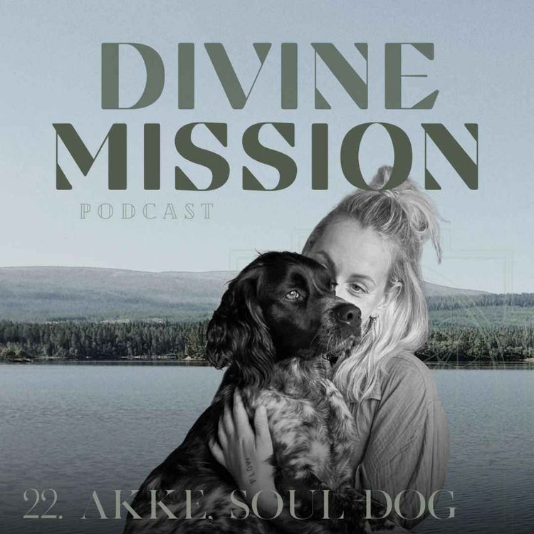 cover art for 22. Akke, souldog och soulmate - det eviga bandet av kärlek, som aldrig dör