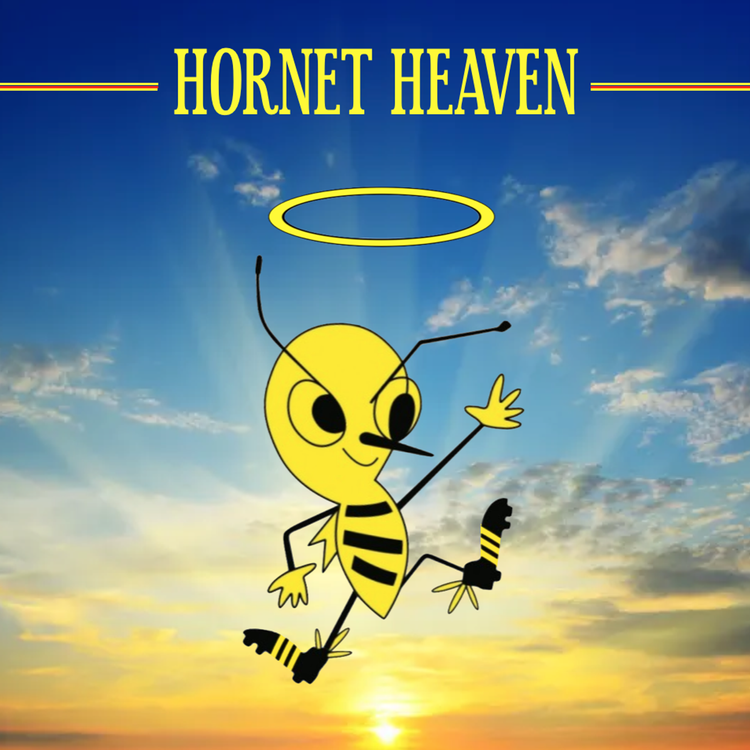 cover art for Hornet Heaven - The Musical