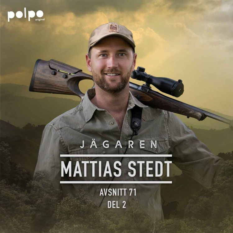 cover art for Mattias Stedt del 2