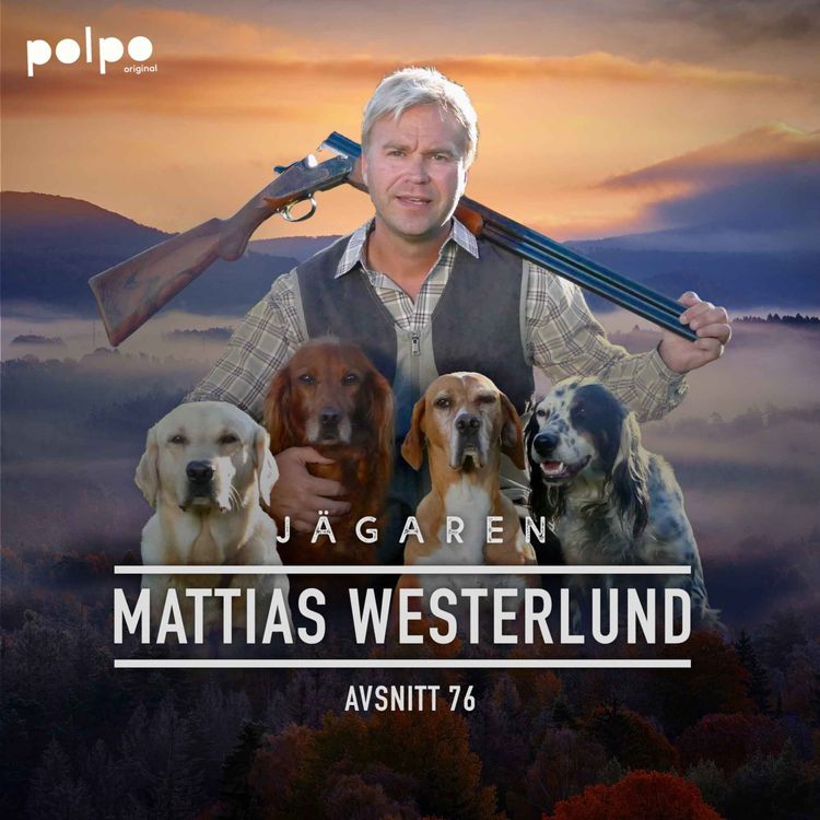 cover art for Mattias Westerlund