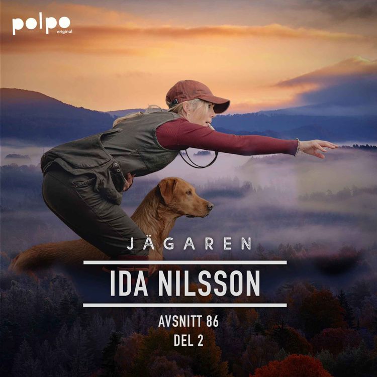cover art for Ida Nilsson del 2