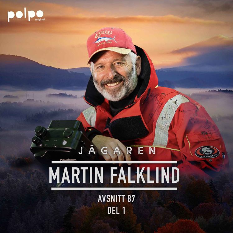 cover art for Martin Falklind del 1
