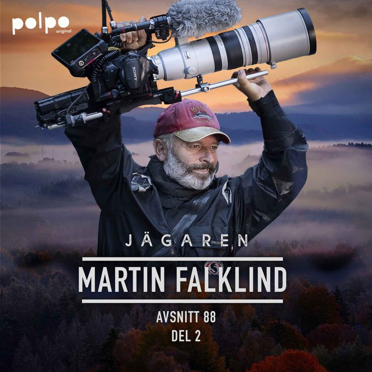 cover art for Martin Falklind del 2