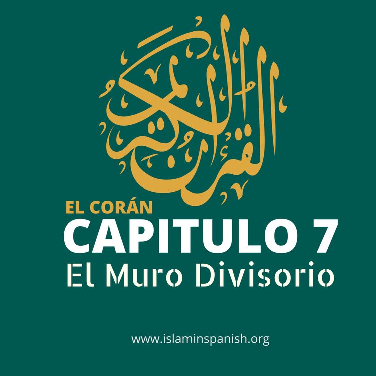 cover art for Capítulo 7 - El Muro Divisorio