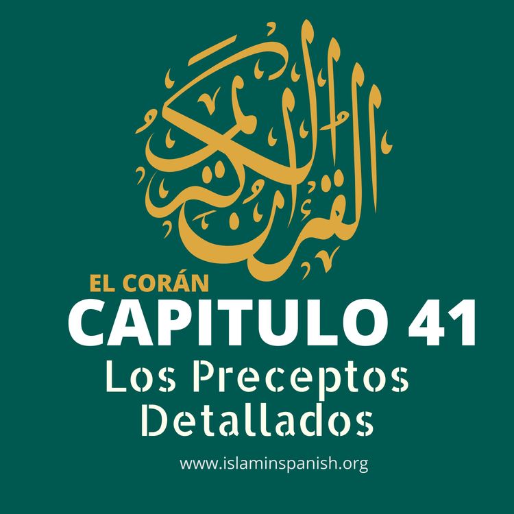cover art for Capítulo 41 - Los Preceptos Detallados