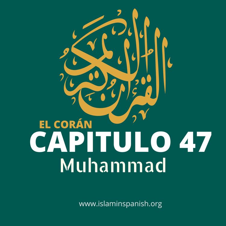 cover art for Capítulo 47 - Muhammad