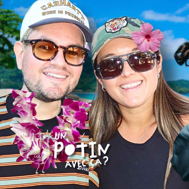 cover art for TOUT LE MONDE S'HAÏT X UN POTIN AVEC ÇA?