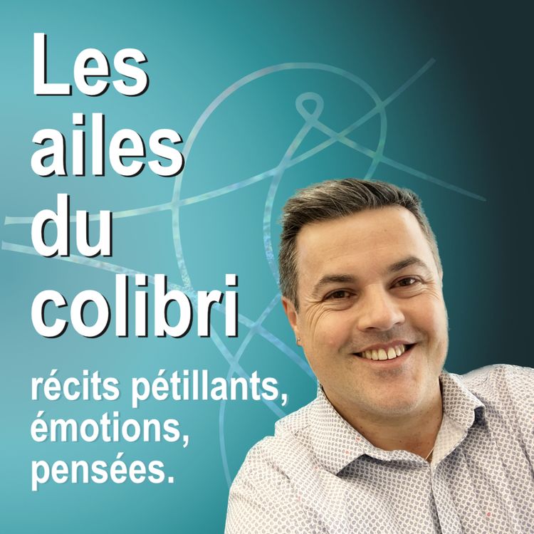 cover art for Les ailes du colibri (Trailer)