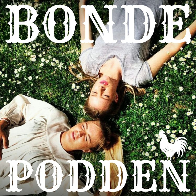 cover art for Bondepodden #3 - het stämning