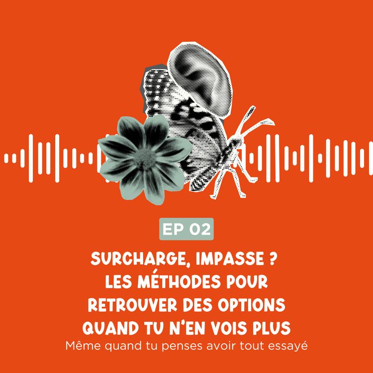 cover art for Surcharge, impasse ? Les méthodes pour retrouver des options quand tu n’en vois plus