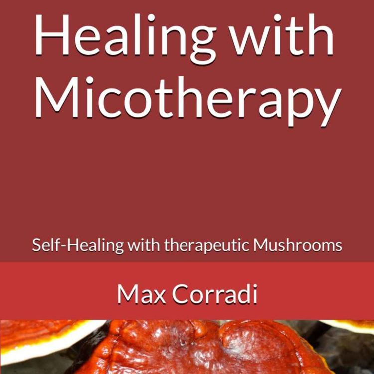 cover art for Micotherapy Series - Chaga (Inonotus obliquus)