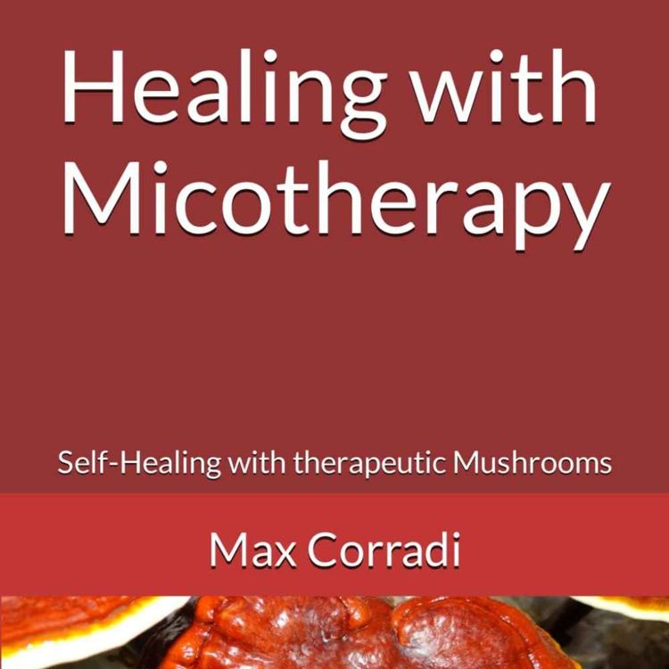 cover art for Micotherapy Series - Pleurotus ostreatus (Oyster Mushroom) 