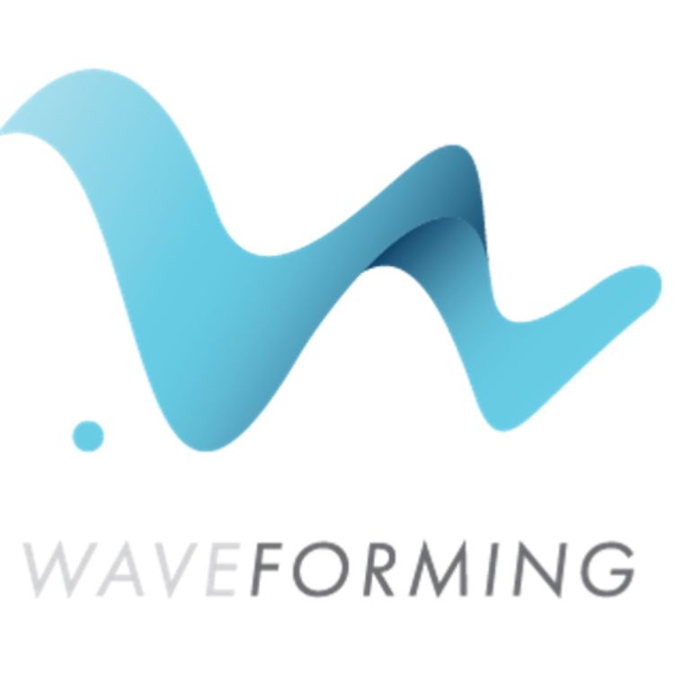 cover art for Waveforming with David Meyerowitz of Trinnov Audio