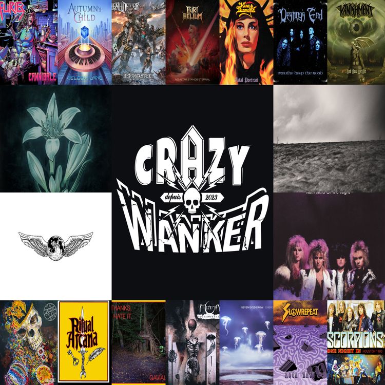 cover art for CRAZY WANKER 3-22
