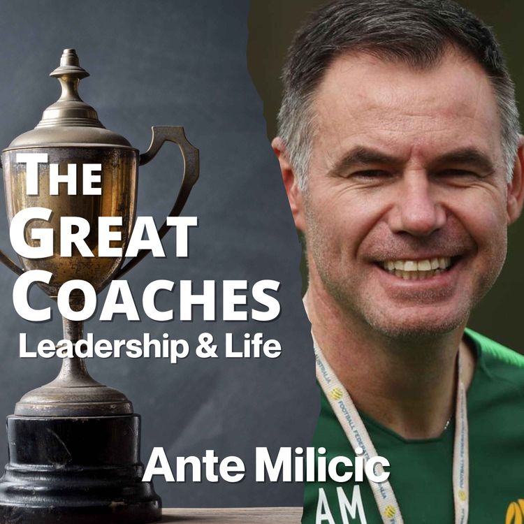 cover art for Ante Milicic