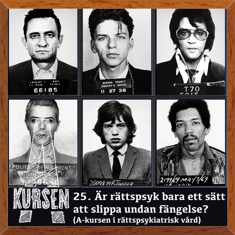 cover art for 25. Är rättspsyk bara ett sätt att slippa undan fängelse? (A-kursen i rättspsykiatrisk vård)