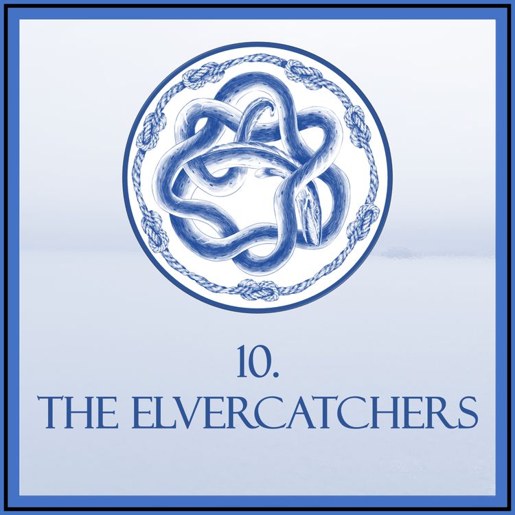 cover art for Episode 10 - The Elvercatchers