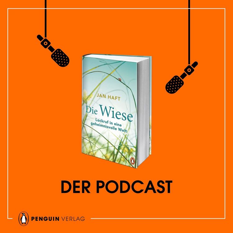 cover art for Jan Haft: Die Wiese