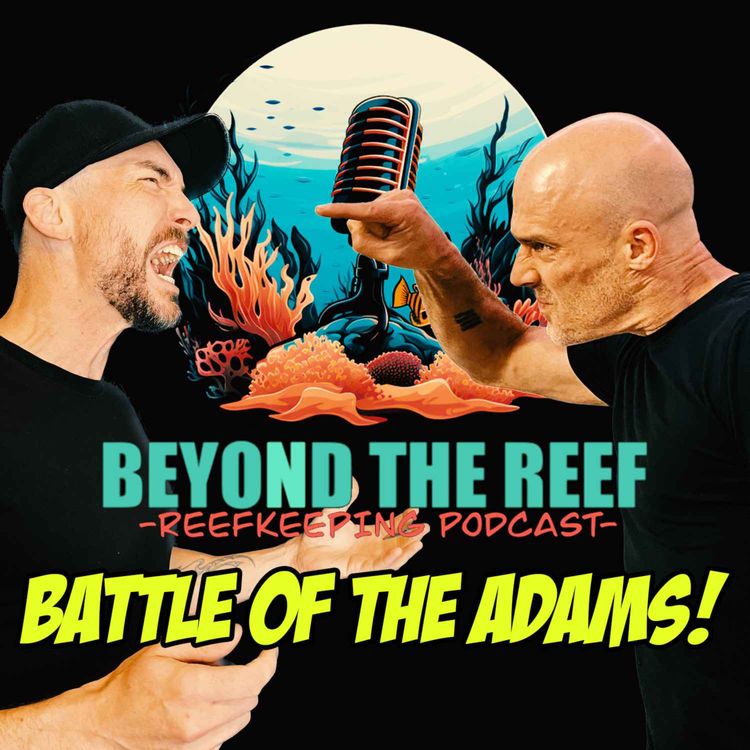 cover art for Battle Of The Adams (Battle Corals)