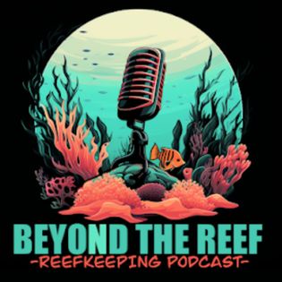 BSA Corals - Beyond The Reef | Acast