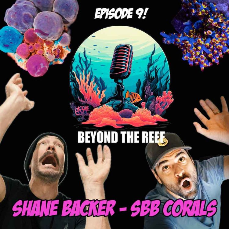 cover art for SBB Coral - Shane Backer