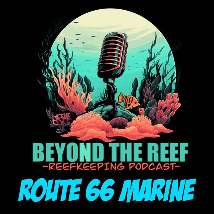 cover art for Route 66 Marine - Eric Caamano