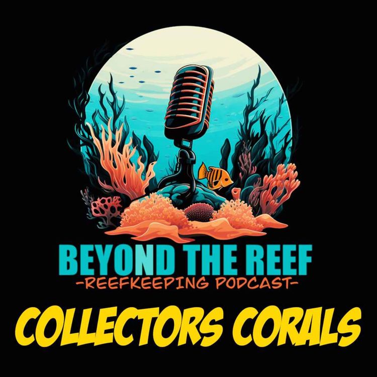 cover art for Collectors Corals (Anand Kaimal)