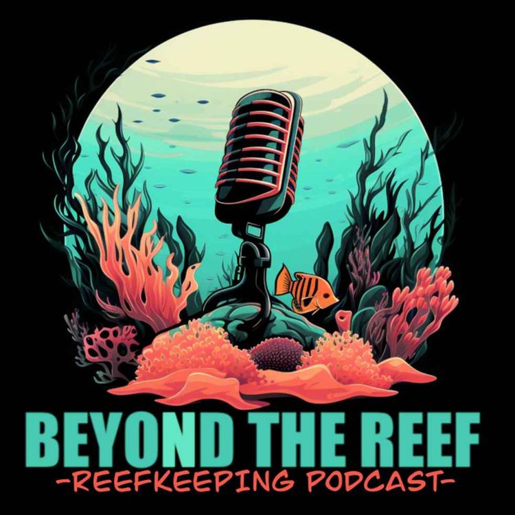 cover art for Reefworks (John Yull)
