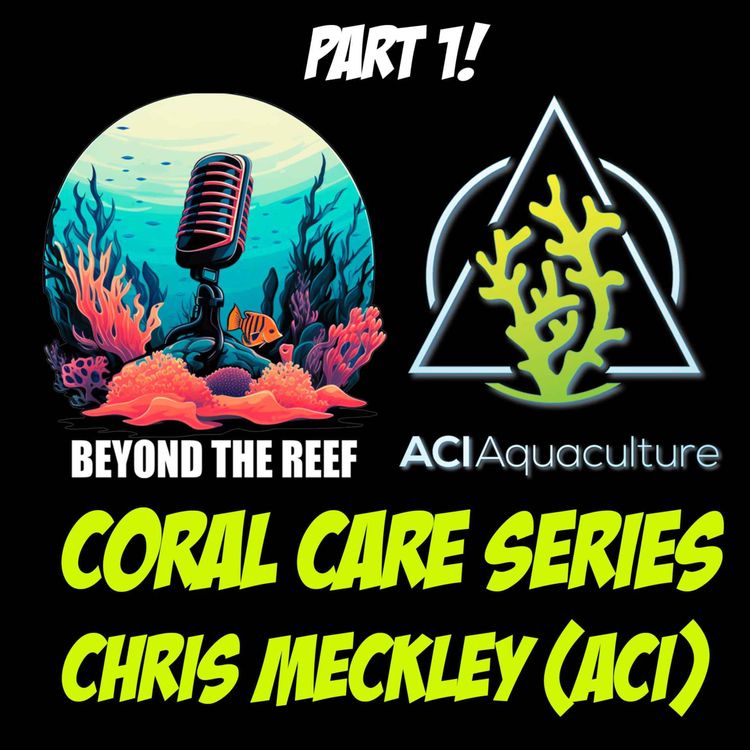 cover art for Coral Care Series Pt. 1 with Chris Meckley (ACI)
