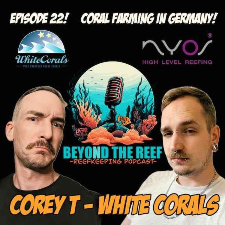 cover art for Coral Farming in Germany! Corey T/Coralhead (White Corals)