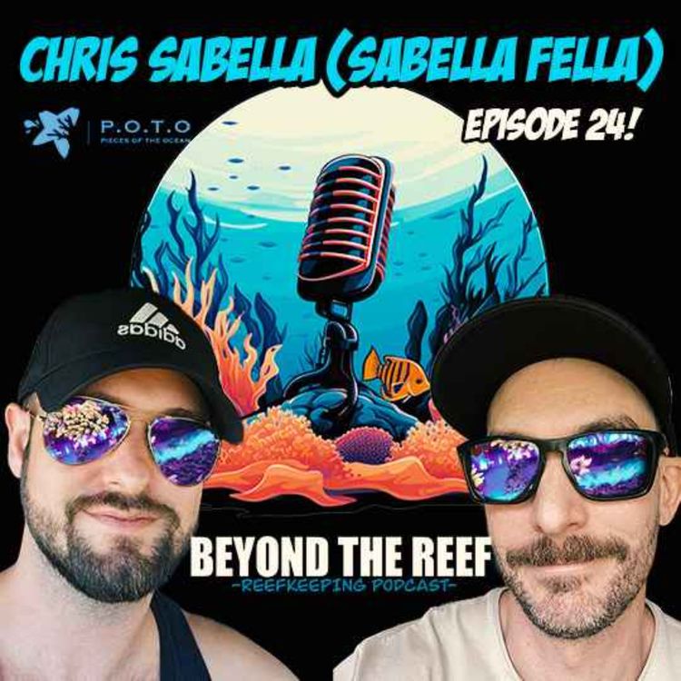 cover art for Chris Sabella (Sabella Fella / POTO)