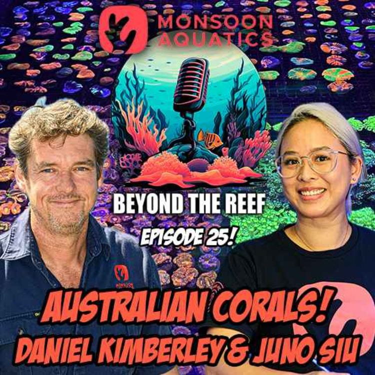 cover art for Australian Corals! Daniel Kimberley & Juno Siu (Monsoon Aquatics)