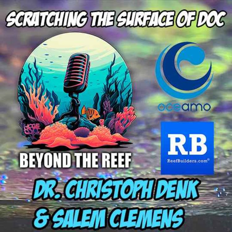 cover art for Scratching the Surface of DOC’s: Christoph Denk (Oceamo) Salem Clemens (Reef Builders)