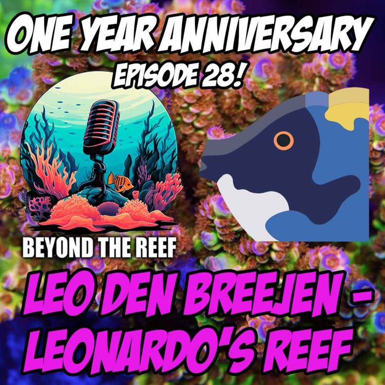 cover art for One Year of BTR! Leonardo’s Reef Returns