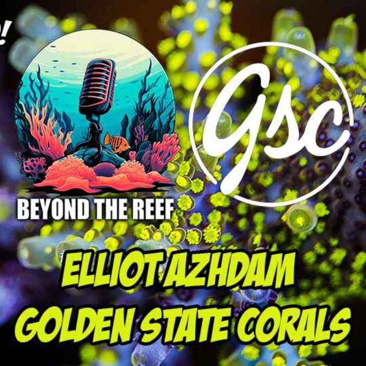 cover art for Elliot Azhdam Golden State Corals